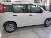 Nuova Fiat Panda S 71 CV (52 kW) 2025 Bianco Utilitaria