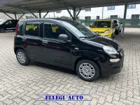 Nuova Fiat Panda Icon 69 CV (50 kW) 2026 Nero Utilitaria