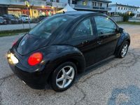 usata VW Beetle New1.6