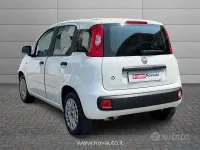 Usata Fiat Panda Easy 69 CV (50 kW) 2021 Bianco Utilitaria