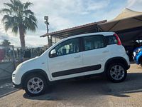 Usata Fiat Panda 4x4 S 75 CV (55 kW) 2013 Bianco Utilitaria