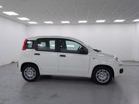 Nuova Fiat Panda Pop 69 CV (50 kW) 2025 Bianco Berlina