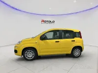 Nuova Fiat Panda Pop 65 CV (47 kW) 2026 Giallo Utilitaria