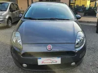 Usata Fiat Punto Lounge 69 CV (50 kW) 2015 Grigio Utilitaria
