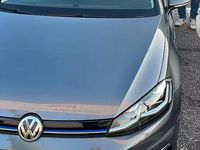 Usata VW Golf VII Executive 2019 Grigio Berlina