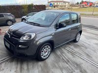 Usata Fiat Panda City Life 69 CV (50 kW) 2023 Grigio Utilitaria