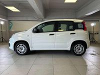 Usata Fiat Panda Easy 69 CV (50 kW) 2020 Bianco Berlina