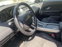 Usata Land Rover Range Rover evoque 150 CV (110 kW) 2018 Bianco SUV