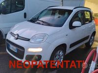 Usata Fiat Panda Easy 80 CV (58 kW) 2013 Bianco Utilitaria