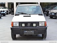 Usata Fiat Panda 4x4 Trekking 54 CV (39 kW) 2001 Argento Utilitaria