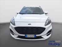 Usata Ford Kuga ST-Line 225 CV (165 kW) 2023 Frozen white SUV