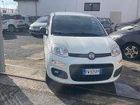 Usata Fiat Panda 4x4 Pop 85 CV (62 kW) 2019 Bianco Utilitaria