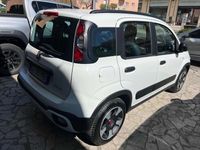 usata Fiat Panda Cross 1.0 1.0 FireFly S&S Hybrid City