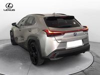 Usata Lexus UX 250h 2021 SUV