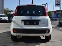 Nuova Fiat Panda Icon 65 CV (47 kW) 2026 Bianco gelato pastello Utilitaria