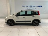 usata Fiat Panda 1.0 FireFly 70cv S&S Hybrid City Life