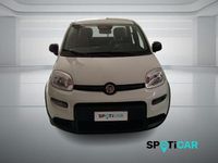 Usata Fiat Panda S 70 CV (51 kW) 2025 Bianco Utilitaria