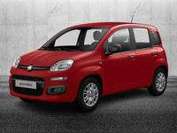 Usata Fiat Panda S 69 CV (50 kW) 2024 Rosso Utilitaria