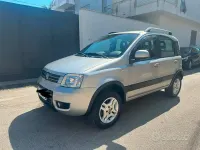 Usata Fiat Panda 4x4 69 CV (50 kW) 2007 Grigio Utilitaria