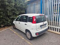 Usata Fiat Panda 69 CV (50 kW) 2016 Bianco Utilitaria