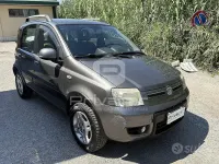 Usata Fiat Panda 4x4 Climbing 75 CV (55 kW) 2011 Grigio Utilitaria