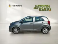 Usata Kia Picanto Style 65 CV (47 kW) 2024 Grigio Utilitaria