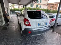 Usata Opel Antara Cosmo 149 CV (109 kW) 2010 Bianco SUV