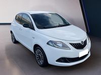 Usata Lancia Ypsilon Gold 70 CV (51 kW) 2022 Bianco Utilitaria