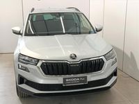 usata Skoda Karoq 2.0 TDI EVO SCR EXECUTIVE