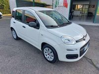 usata Fiat Panda Panda1.2 Easy 69cv NEOPATENTATI OK