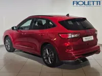 Usata Ford Kuga ST-Line 190 CV (139 kW) 2023 Rosso SUV