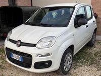 Usata Fiat Panda Easy 71 CV (52 kW) 2019 Bianco Utilitaria
