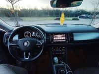Usata Skoda Kodiaq Executive 125 CV (91 kW) 2019 Blu/azzurro SUV