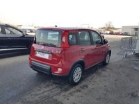 usata Fiat Panda Panda My24 1.0 70cv Hybrid