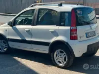 Usata Fiat Panda Climbing 60 CV (44 kW) 2009 Bianco Utilitaria