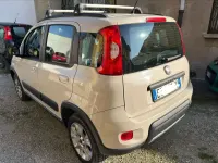 Usata Fiat Panda 4x4 86 CV (63 kW) 2014 Beige Utilitaria