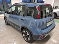 usata Fiat Panda 4x4 1.2 EasyPower "UFFICIALE"