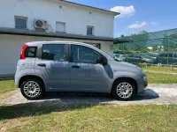 Usata Fiat Panda S 69 CV (50 kW) 2022 Grigio cemento Utilitaria