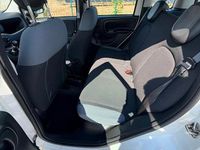 Usata Fiat Panda 85 CV (62 kW) 2019 Utilitaria