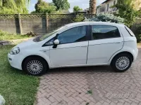 Usata Fiat Punto 75 CV (55 kW) 2014 Bianco Utilitaria