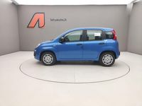 Nuova Fiat Panda Icon 65 CV (47 kW) 2026 Blu italia Utilitaria
