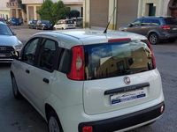 usata Fiat Panda 1.2 benzina 2019 50.000 km adatta a neo