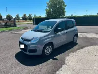 Usata Fiat Panda 69 CV (50 kW) 2019 Grigio Utilitaria
