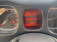 Usata Fiat Panda Cross Cross 71 CV (52 kW) 2022 Grigio Utilitaria