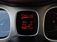 Usata Fiat Panda Cross Cross 90 CV (66 kW) 2016 Verde Utilitaria