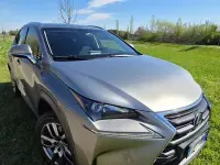 Usata Lexus NX300h 155 CV (114 kW) 2015 Argento SUV