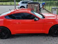Usata Ford Mustang Fastback 317 CV (233 kW) 2016 Coupé