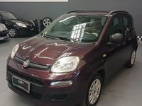 Usata Fiat Panda Lounge 69 CV (50 kW) 2012 Mirtillo Utilitaria