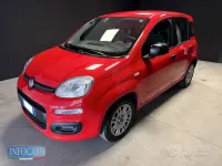 Usata Fiat Panda 69 CV (50 kW) 2022 Rosso pastello Utilitaria