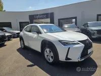 Usata Lexus UX Business Edition 152 CV (111 kW) 2020 Bianco pastello SUV